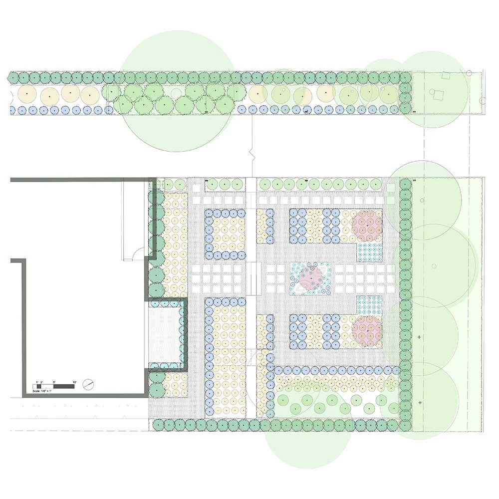 Syncline plants last crop.jpg
