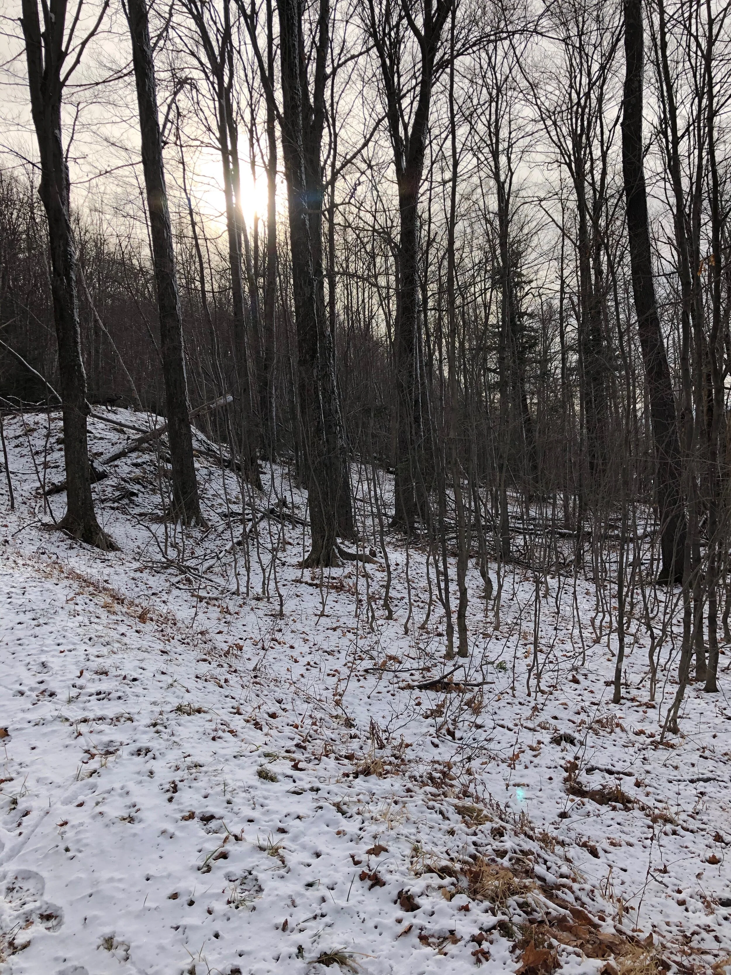 Cold Weather Running