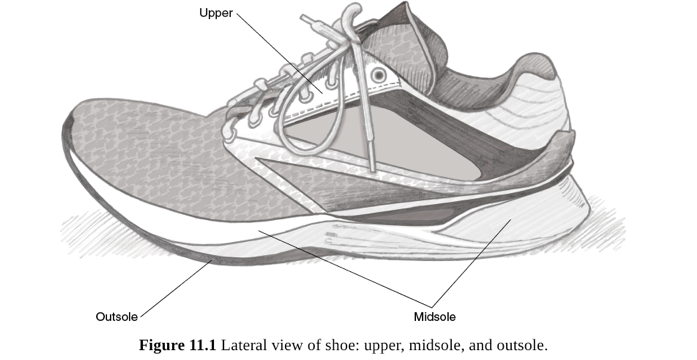 Running Shoe Anatomy | Fleet Feet
