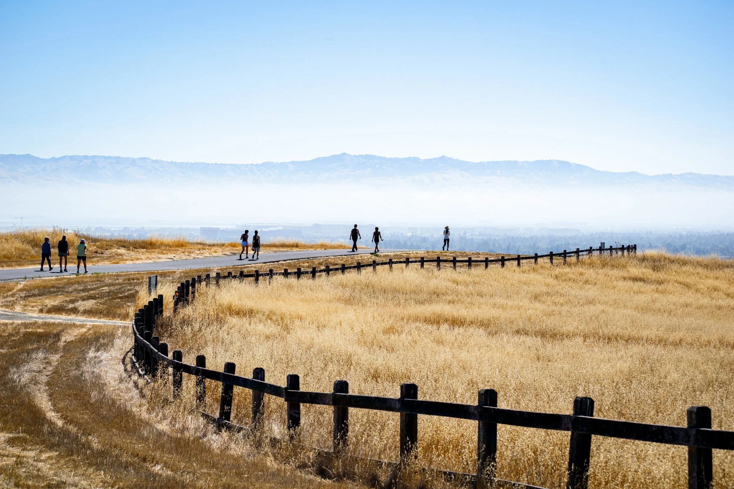 Stanford Dish Hike with Women in Law Committee