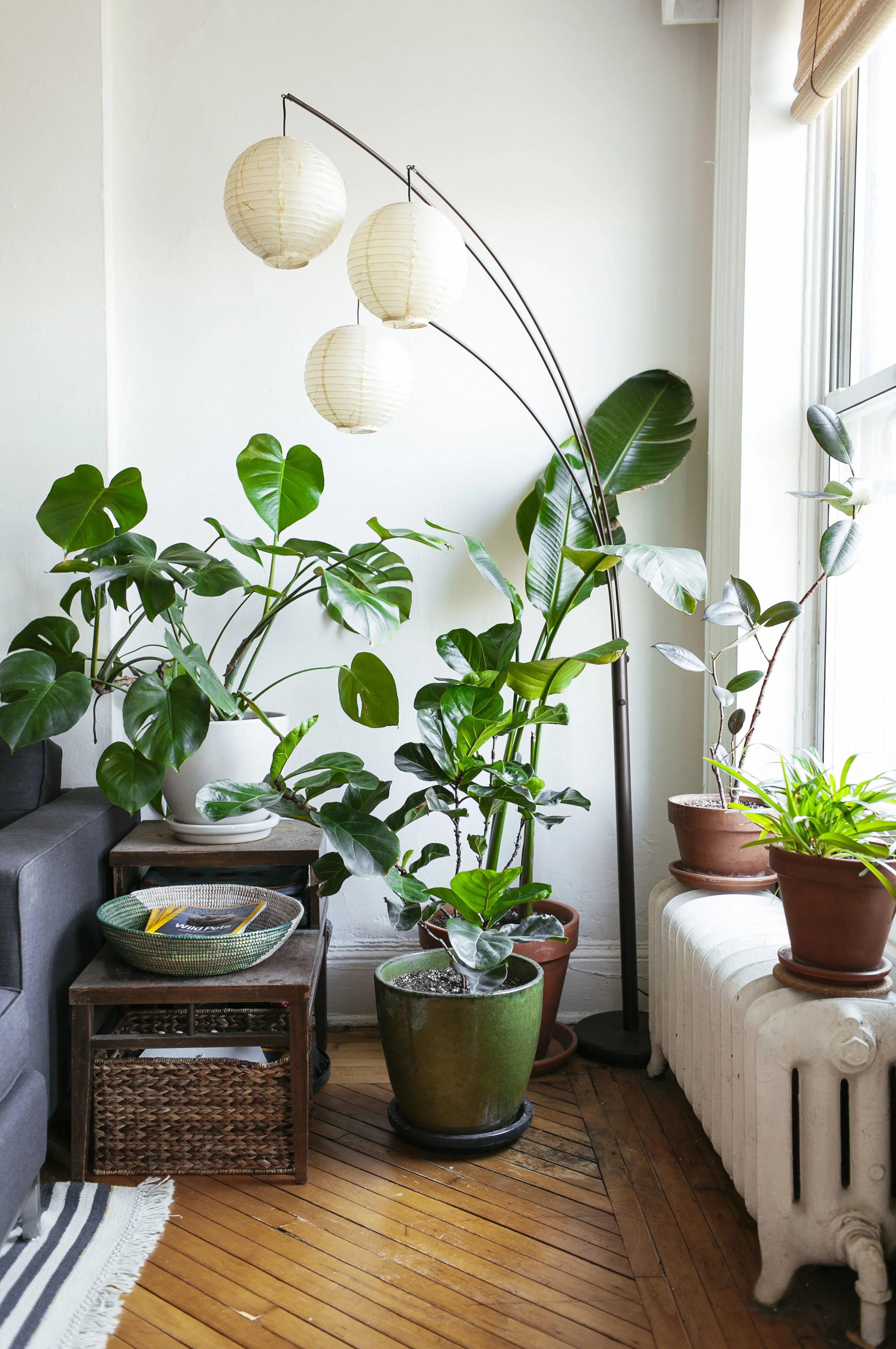 11b_Leaf+June38.jpg