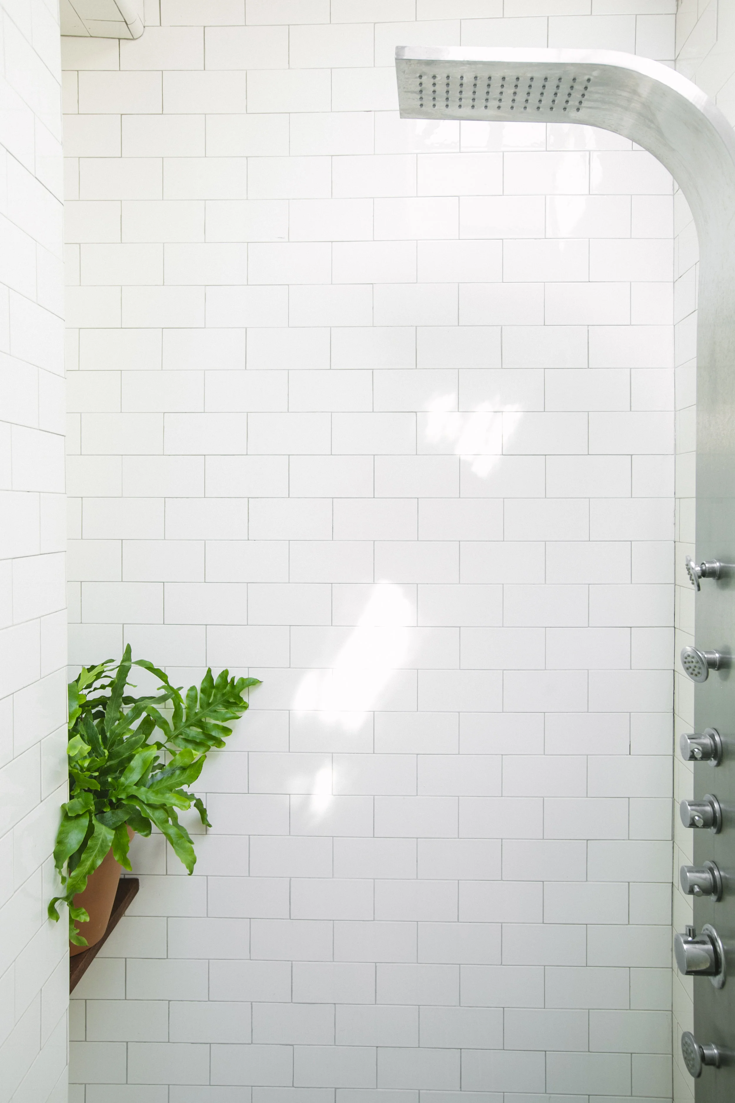 14b_Leaf+June71.jpg