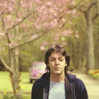 We're living in the trees.