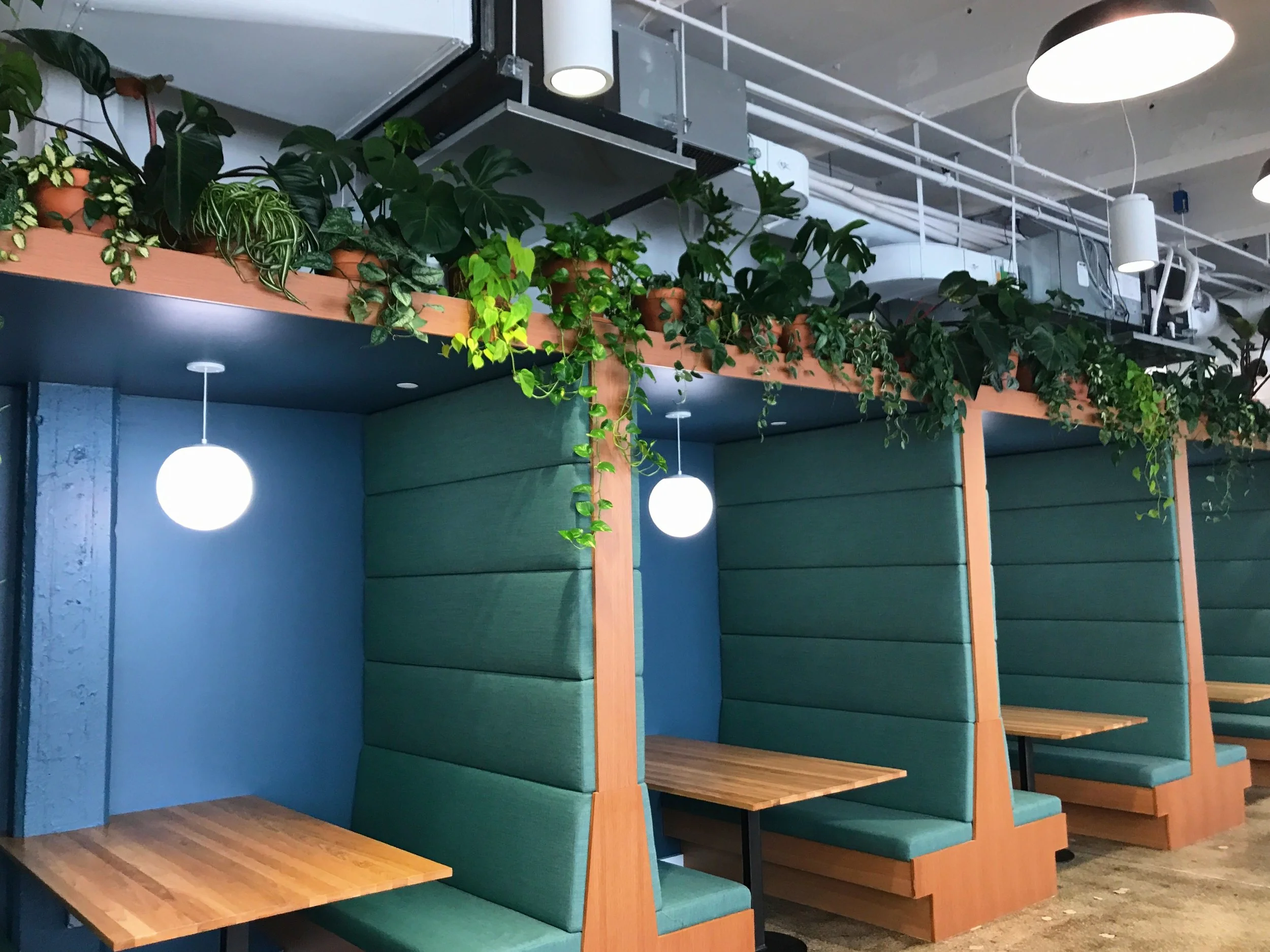 Buck_PlantDesign_02.JPG