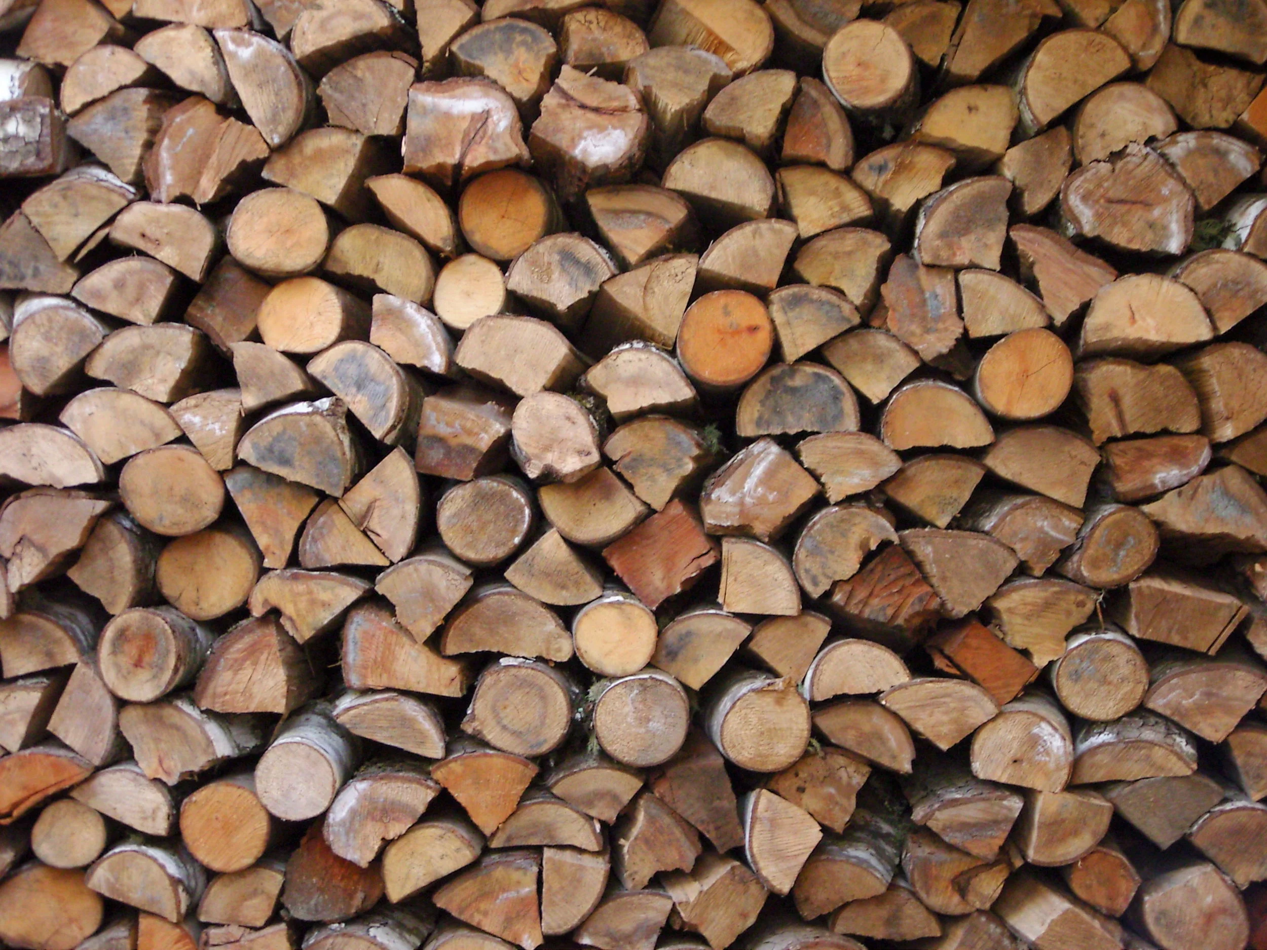woodpile.jpg
