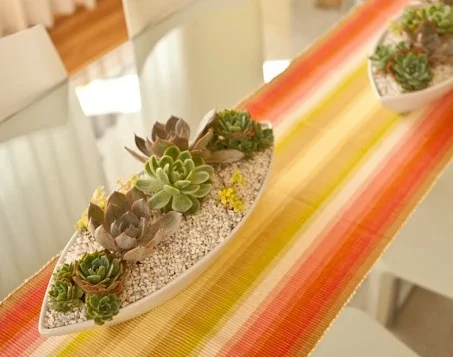 dining table succulents.jpg