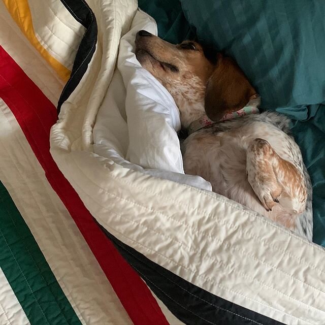 The only place I wanna be once my butt recovers.