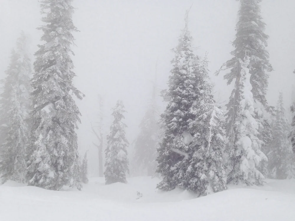 Snow City-4.jpg