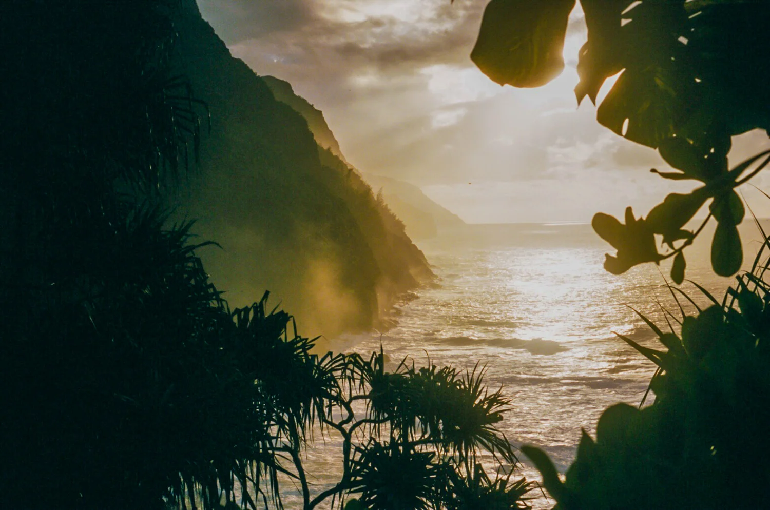 KAUAI STUFF X ASHER MOSS-4.jpg