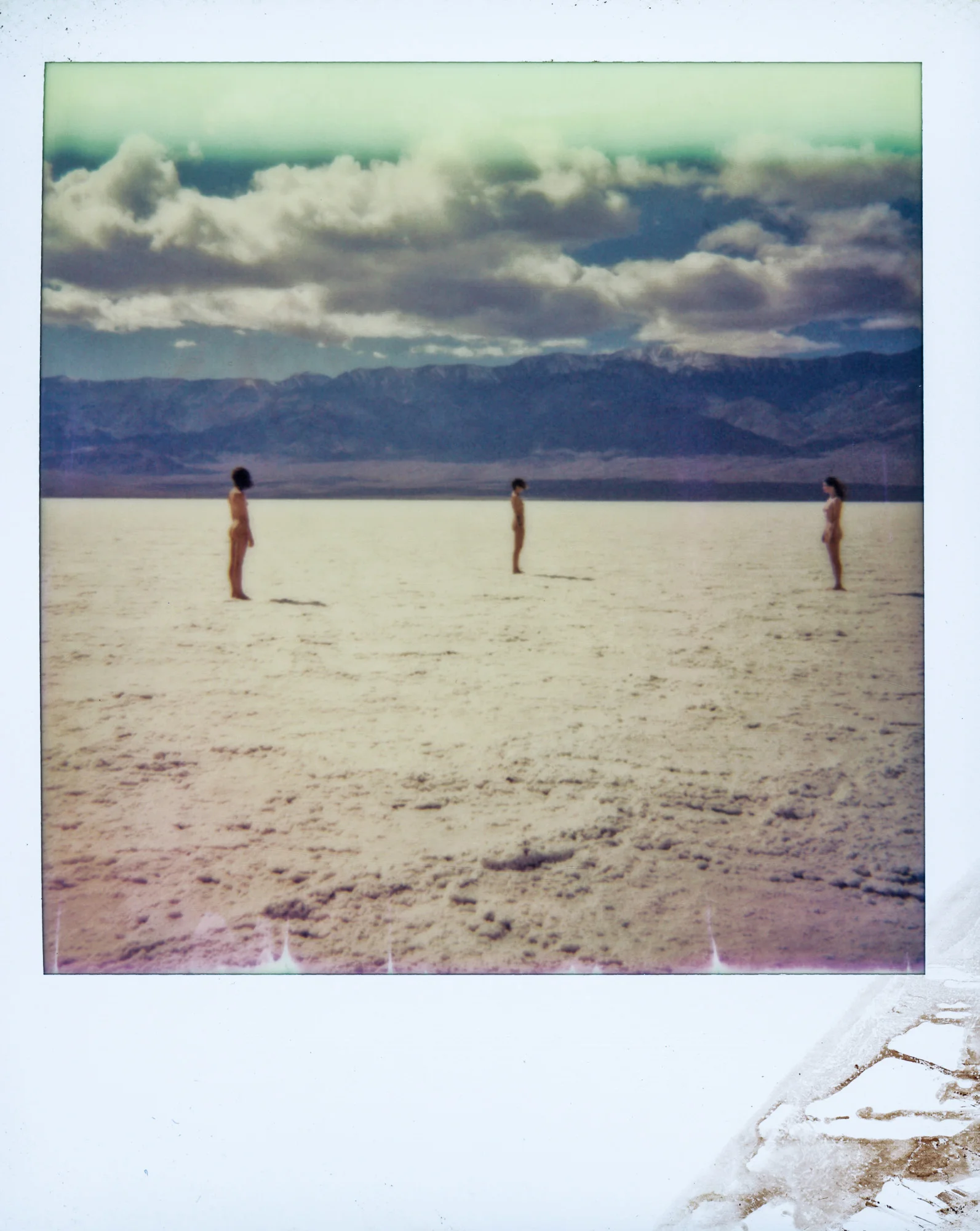 POLAROIDS-2.jpg