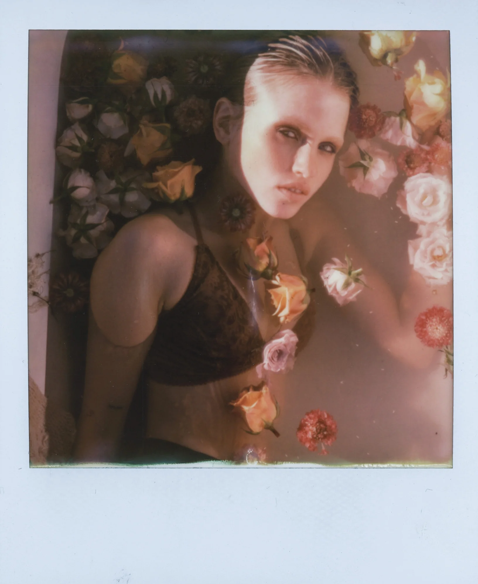 MORE MORE-2.jpg