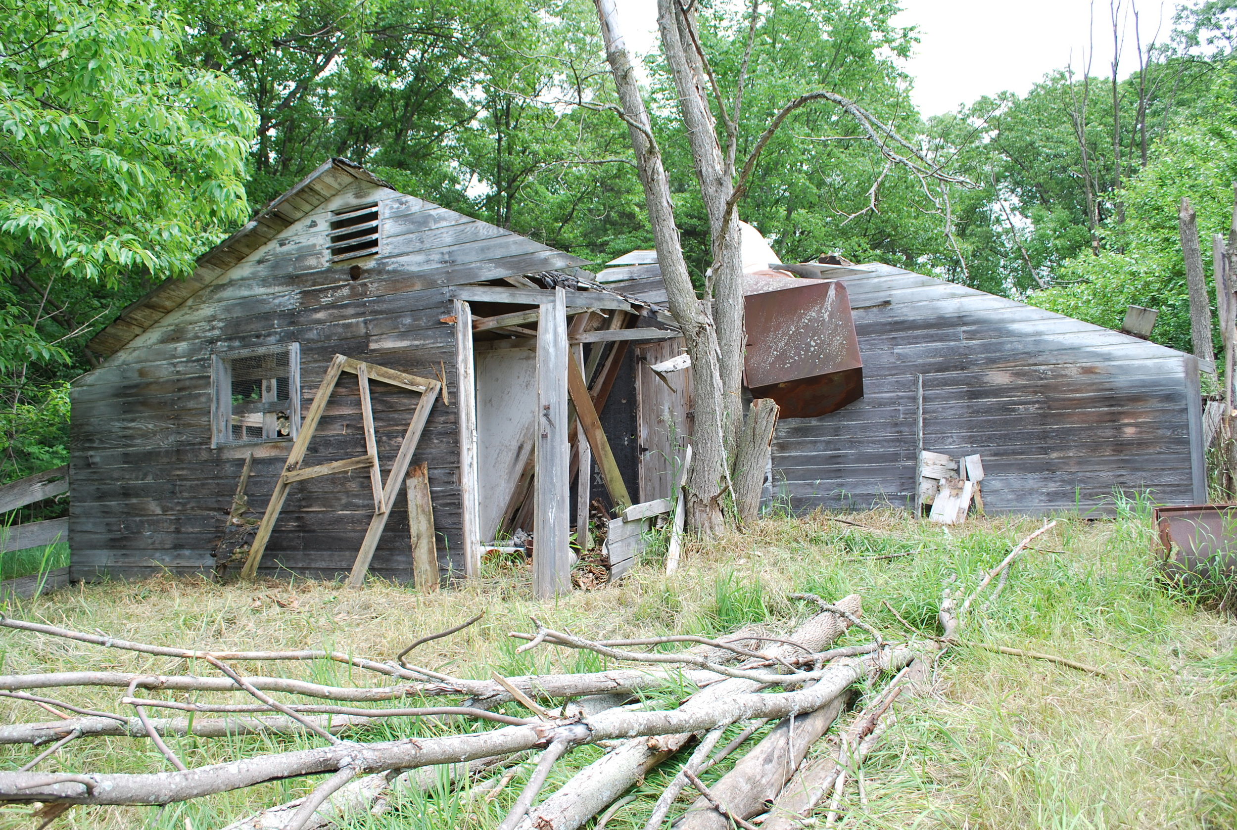 Before- Entry view
