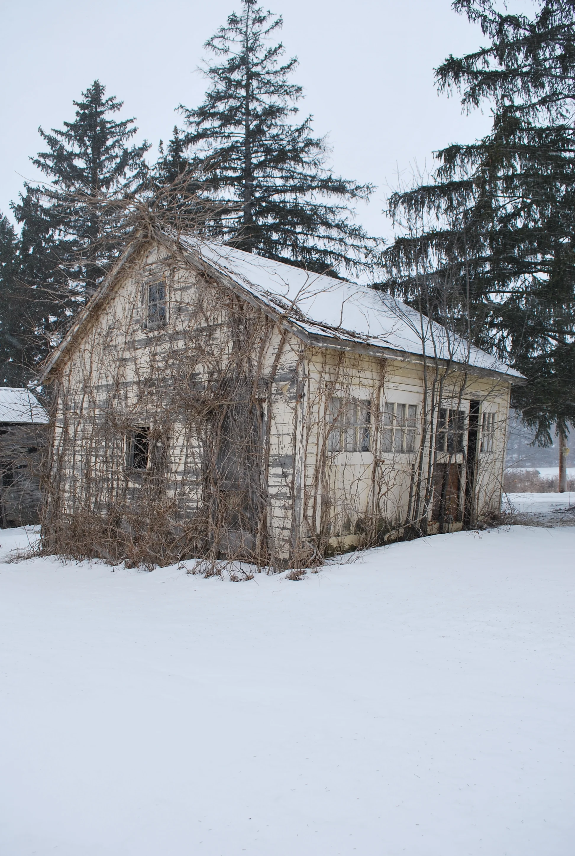 Carriage House- Before