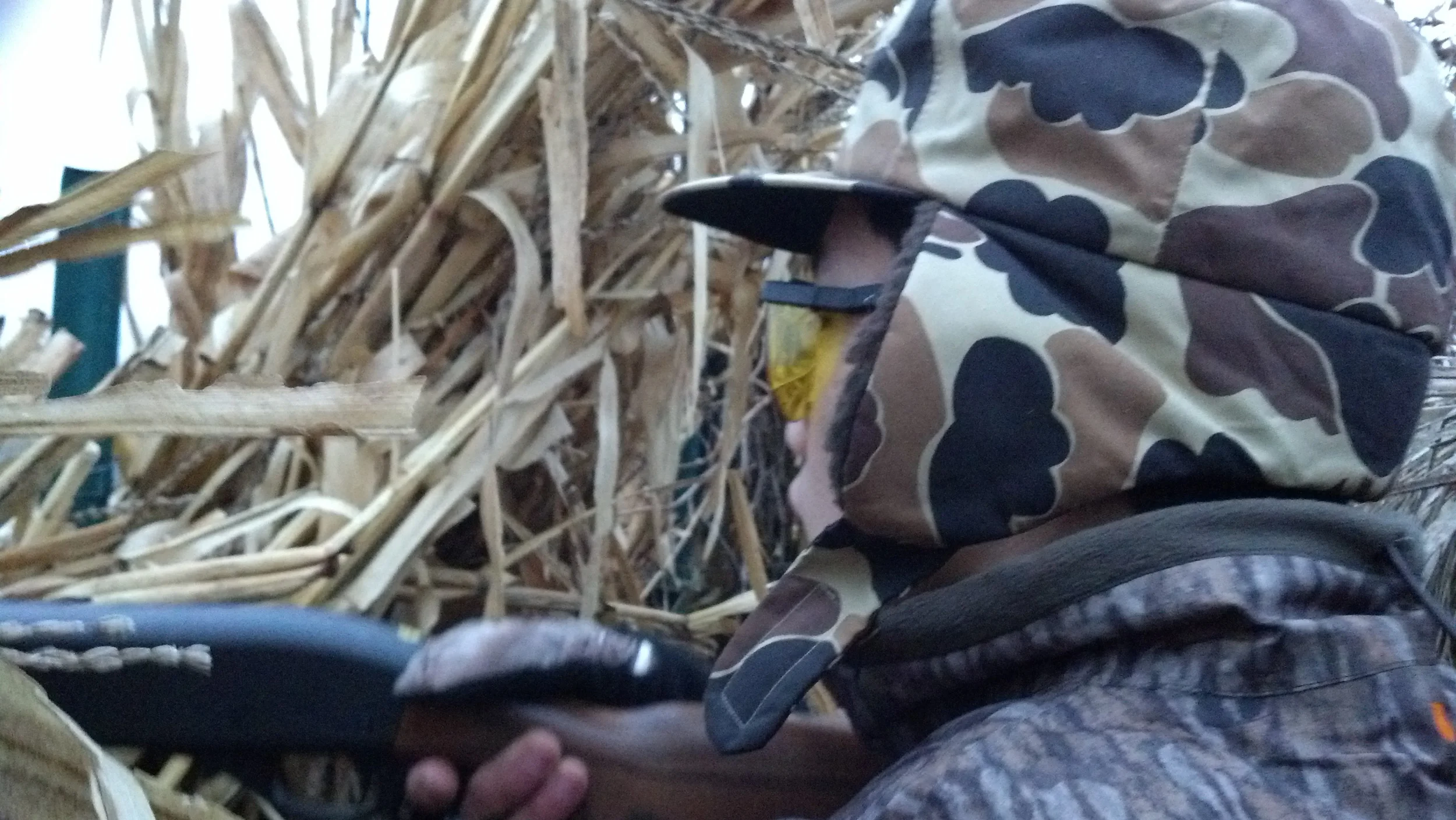 002_MHHF Clinic_Waterfowl (2012 December).jpg