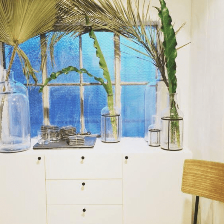Sunlit window with plants