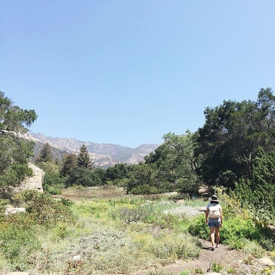 Walking a quiet trail