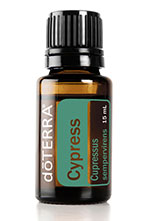 Cypress_lg.png