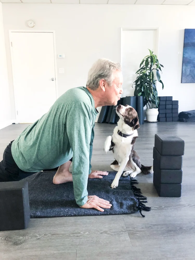 A movement session at Saffron & Sage