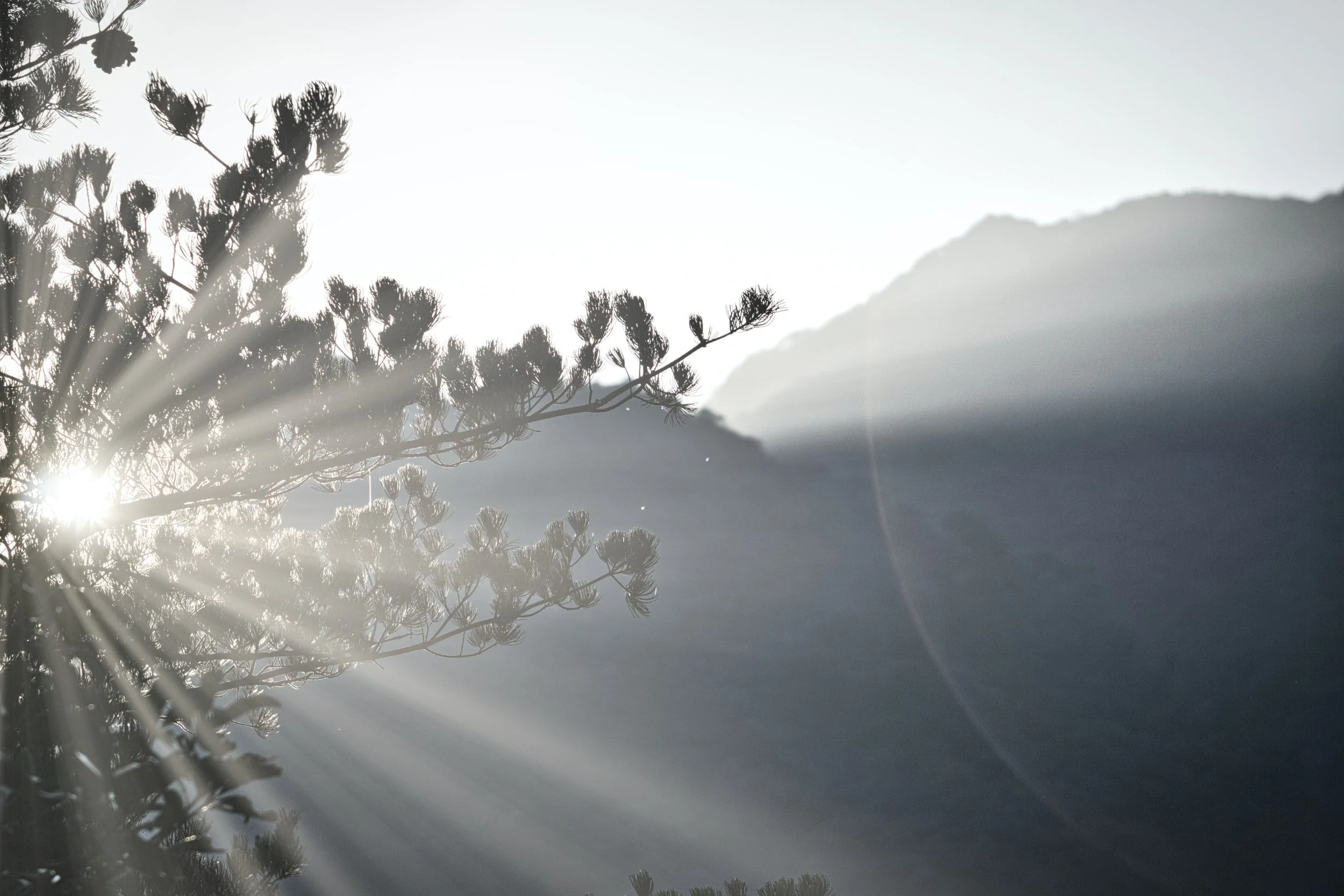 Embrace Cancer Season With the New Moon