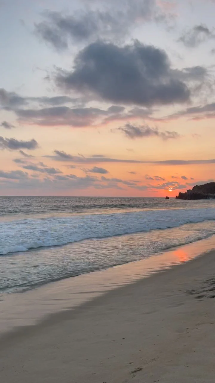 SAFFRON & SAGE FACIAL DRY BRUSH — San Diego Holistic Health Club and