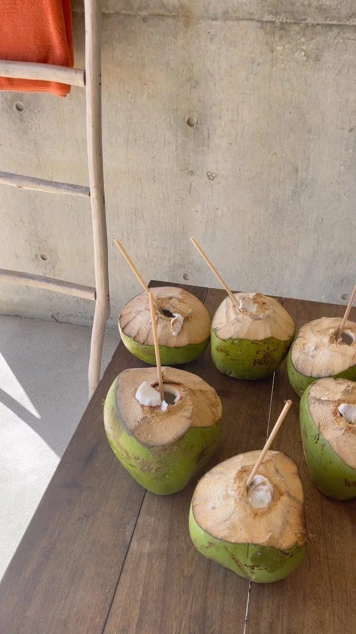 5 Health Benefits of Cilantro Saffron Sage Living