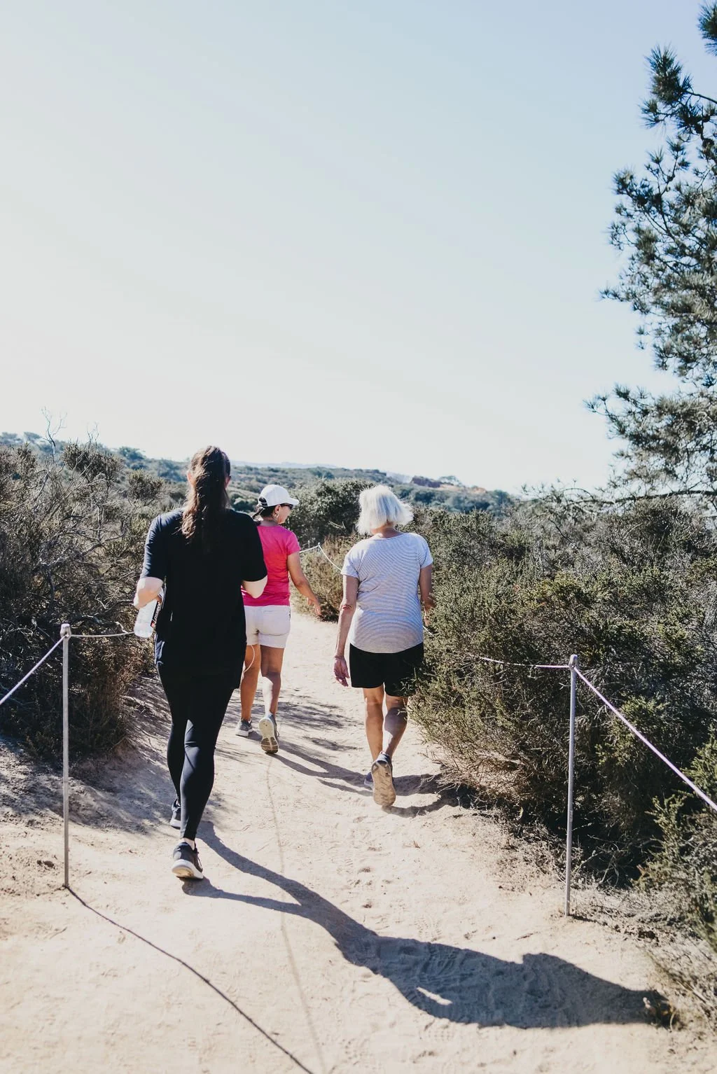 Forest Bathing: How Nature Therapy Supports Emotional Well-Being