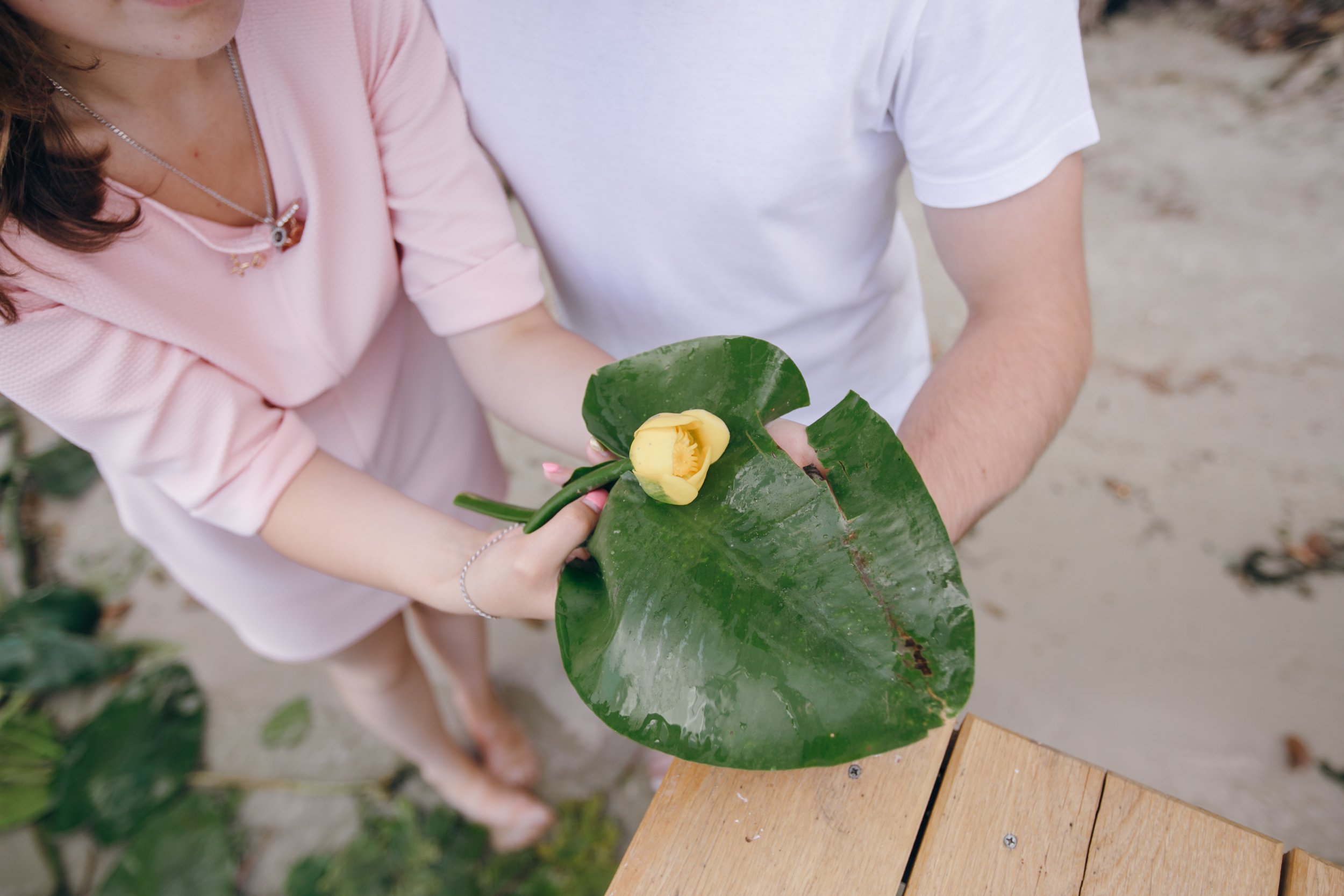 The Impact of Environmental Toxins on Reproductive Health