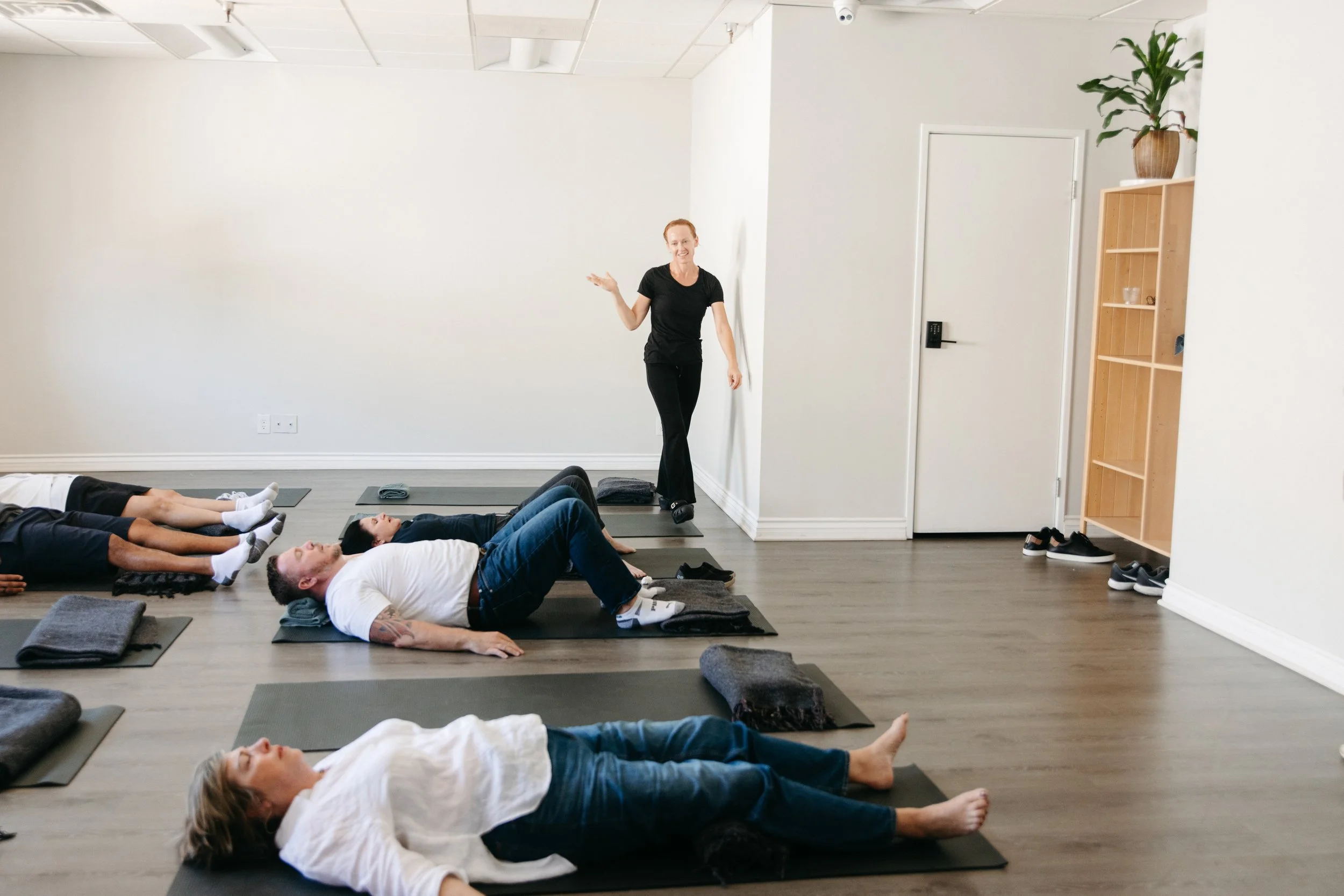 Executive Wellness Playbook for the Modern Leader: A Biological Strategy for Sustained Performance