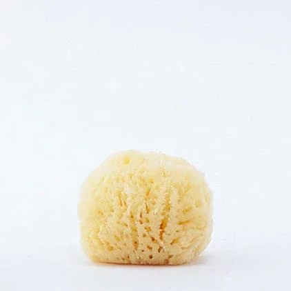 SAFFRON & SAGE GREEK SILK SEA SPONGE