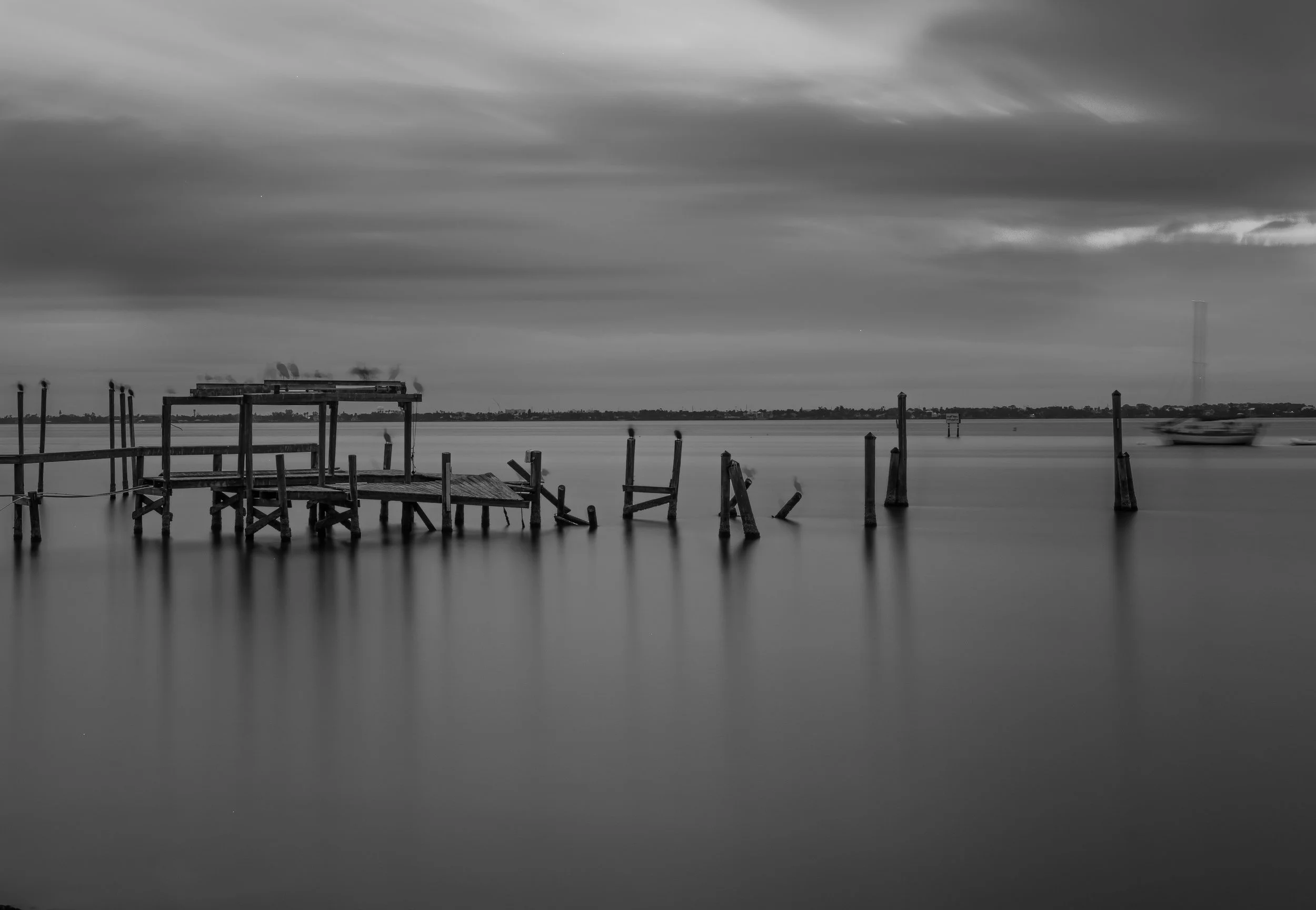 DSC_7883.jpg