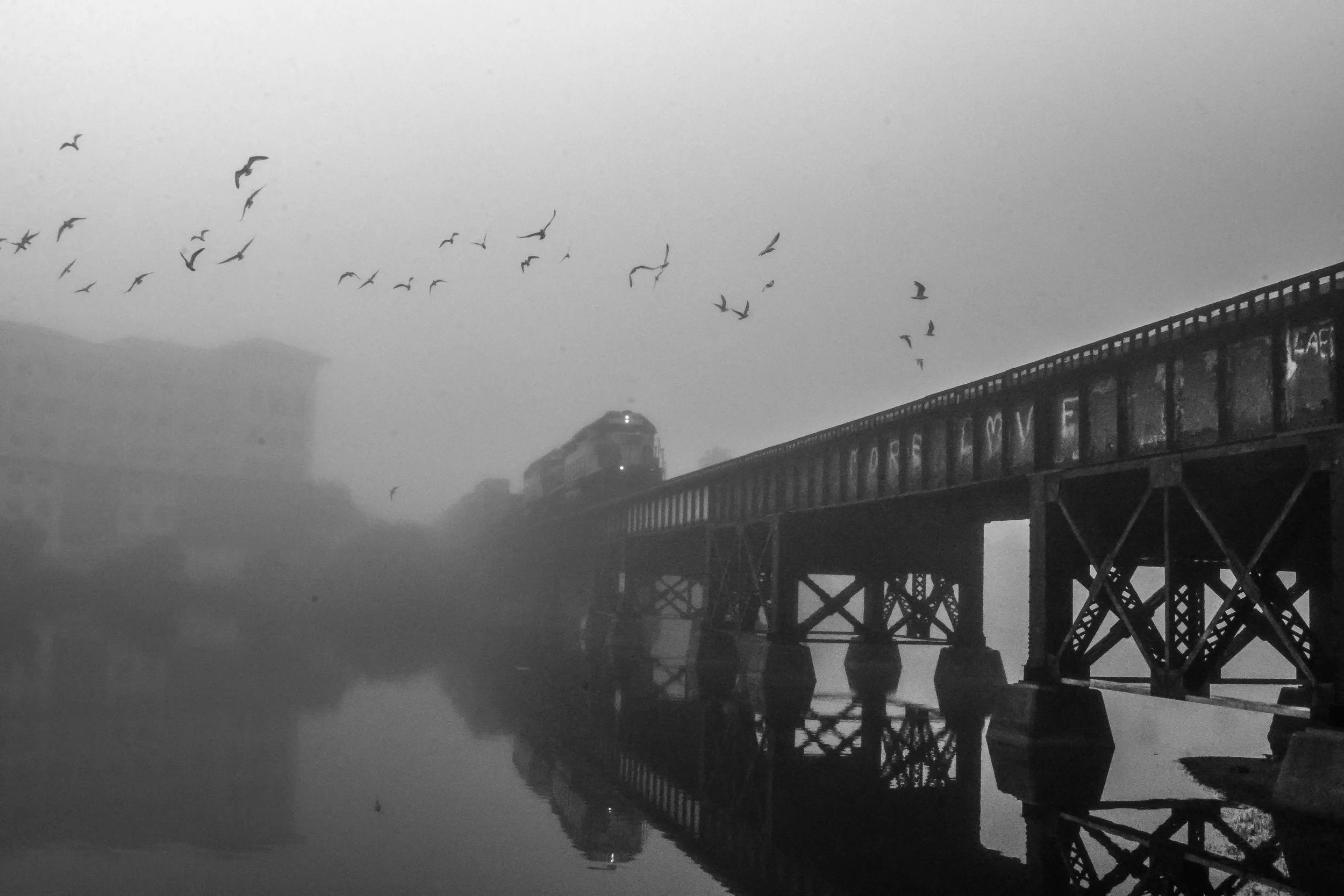 Train Breakthrough Fog