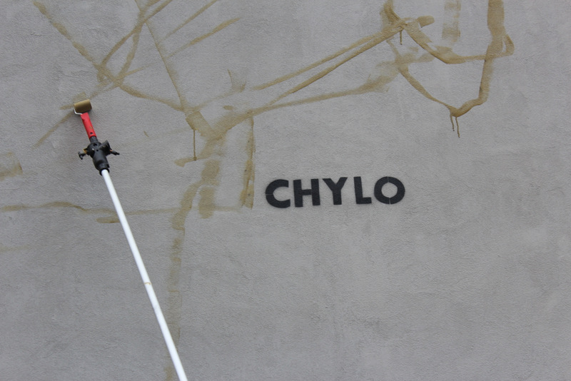 Chylo @ Muros-003.JPG