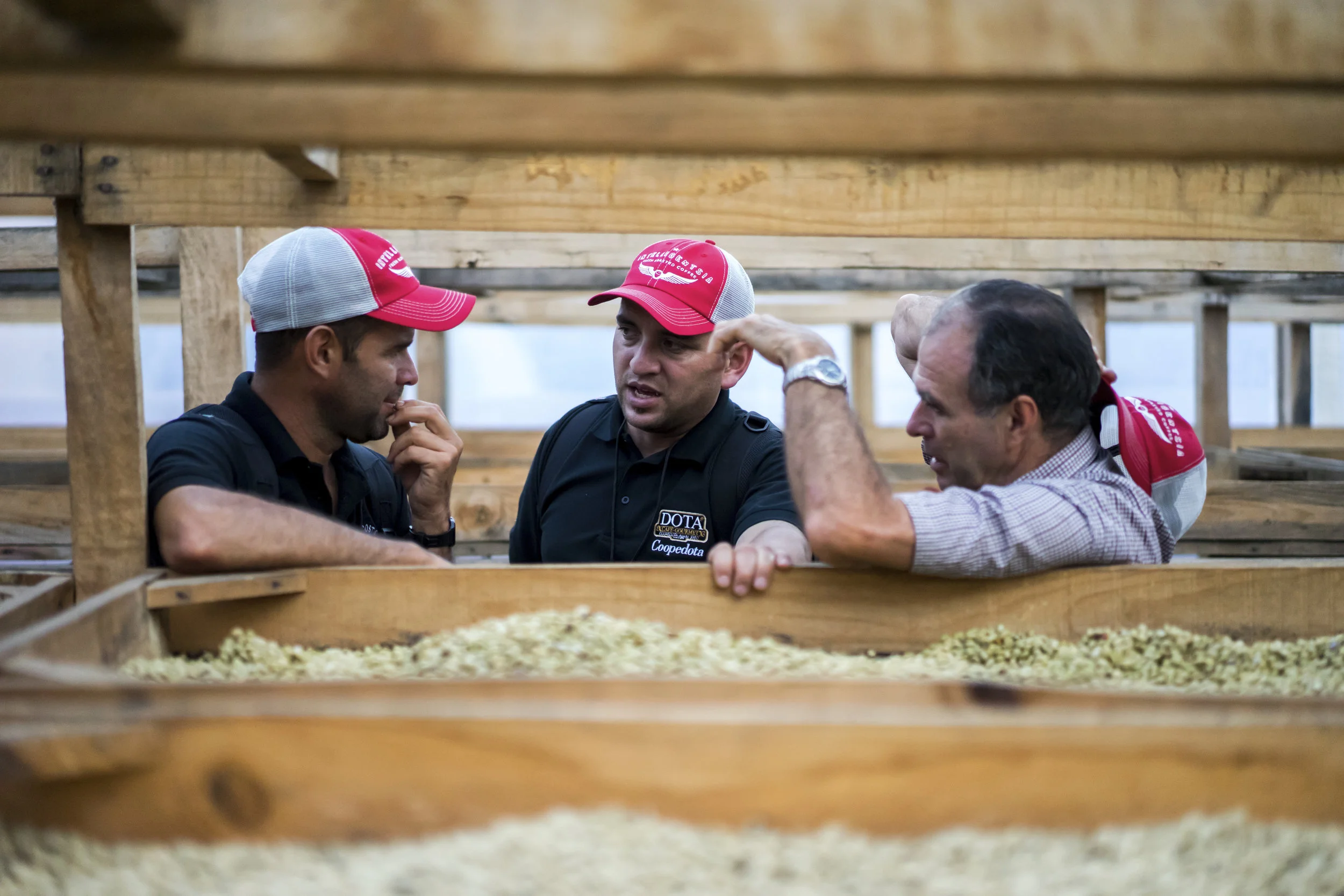 images courtesy of Intelligentsia Coffee