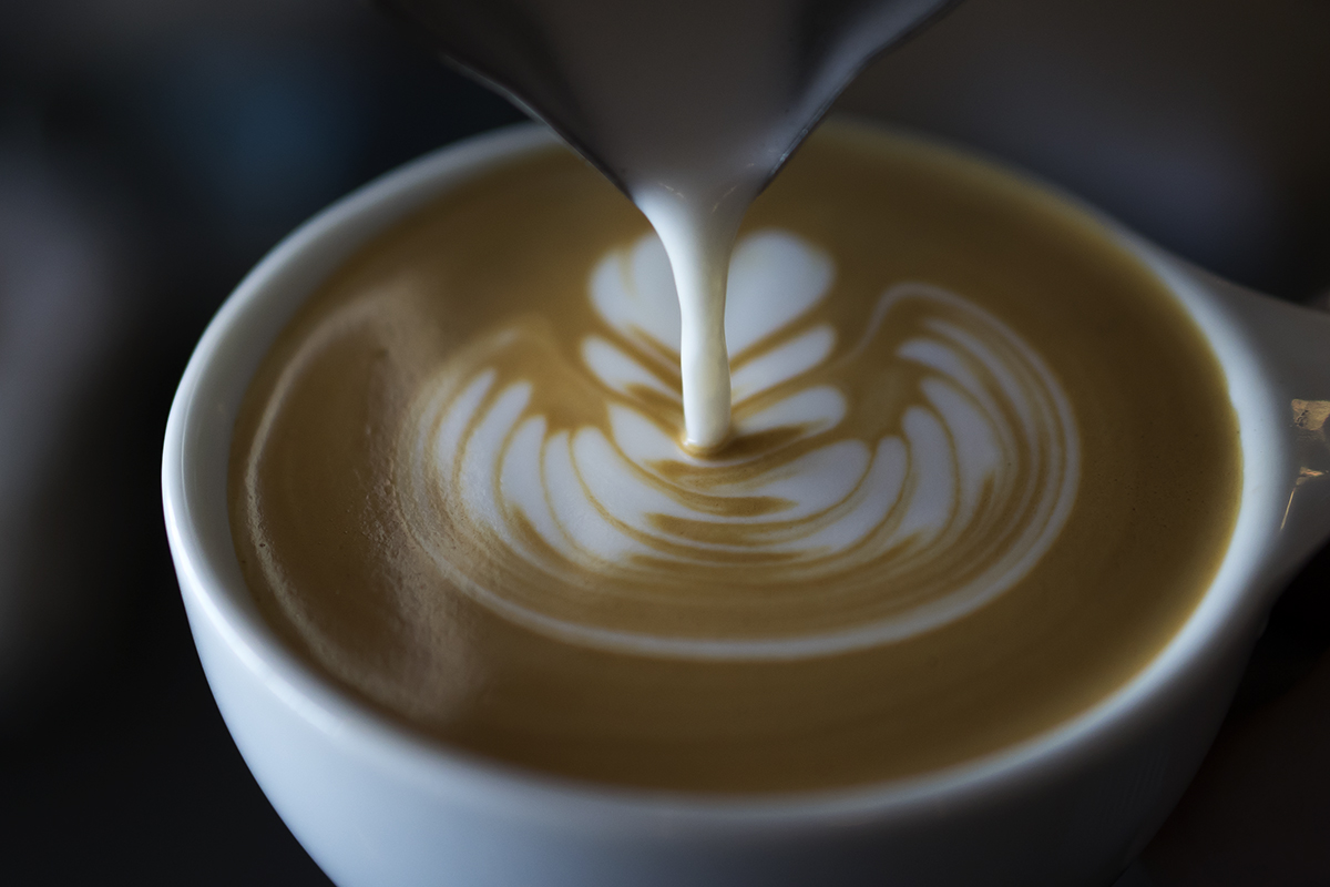 images courtesy of Intelligentsia Coffee