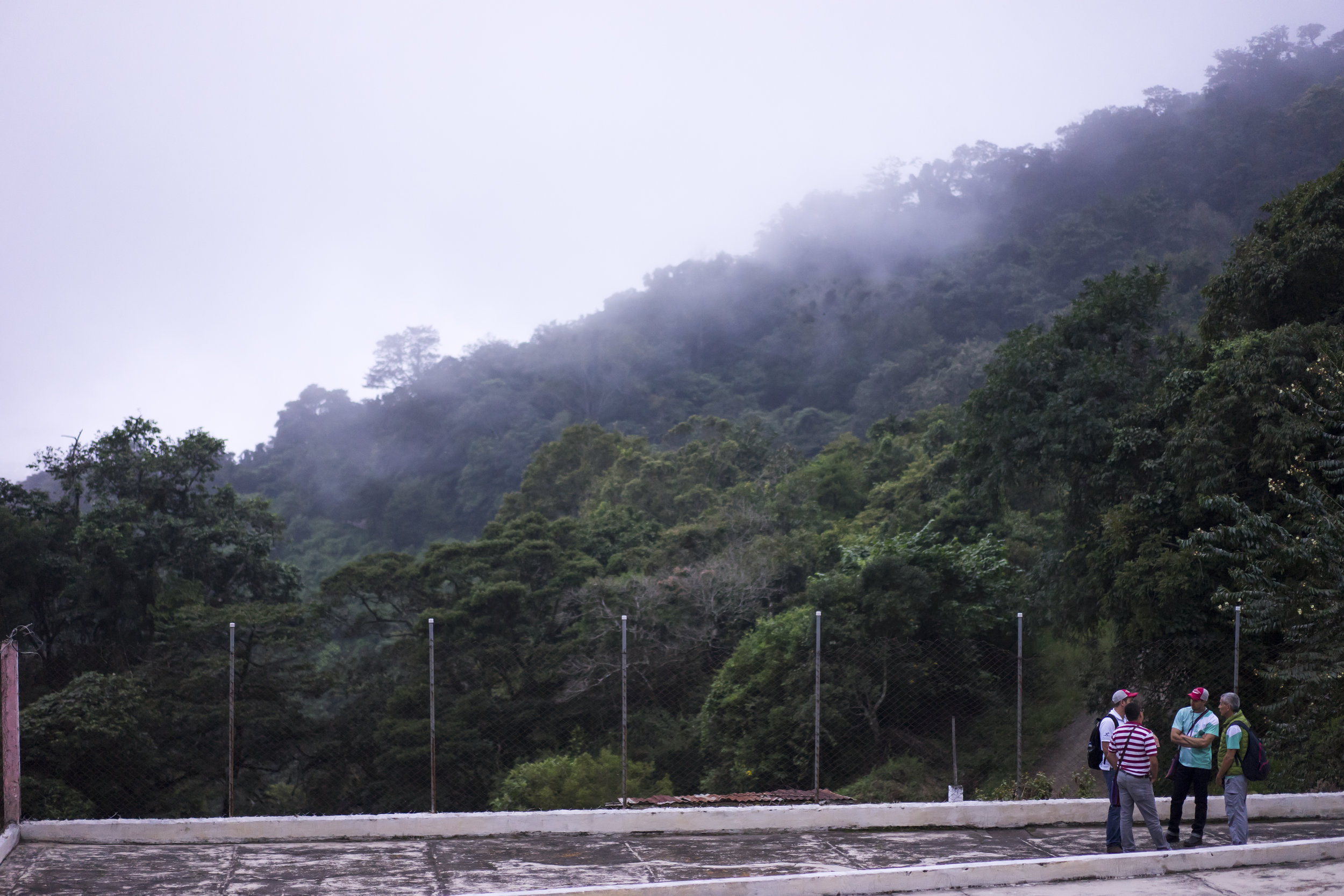  Guatemala - images courtesy of Intelligentsia Coffee 