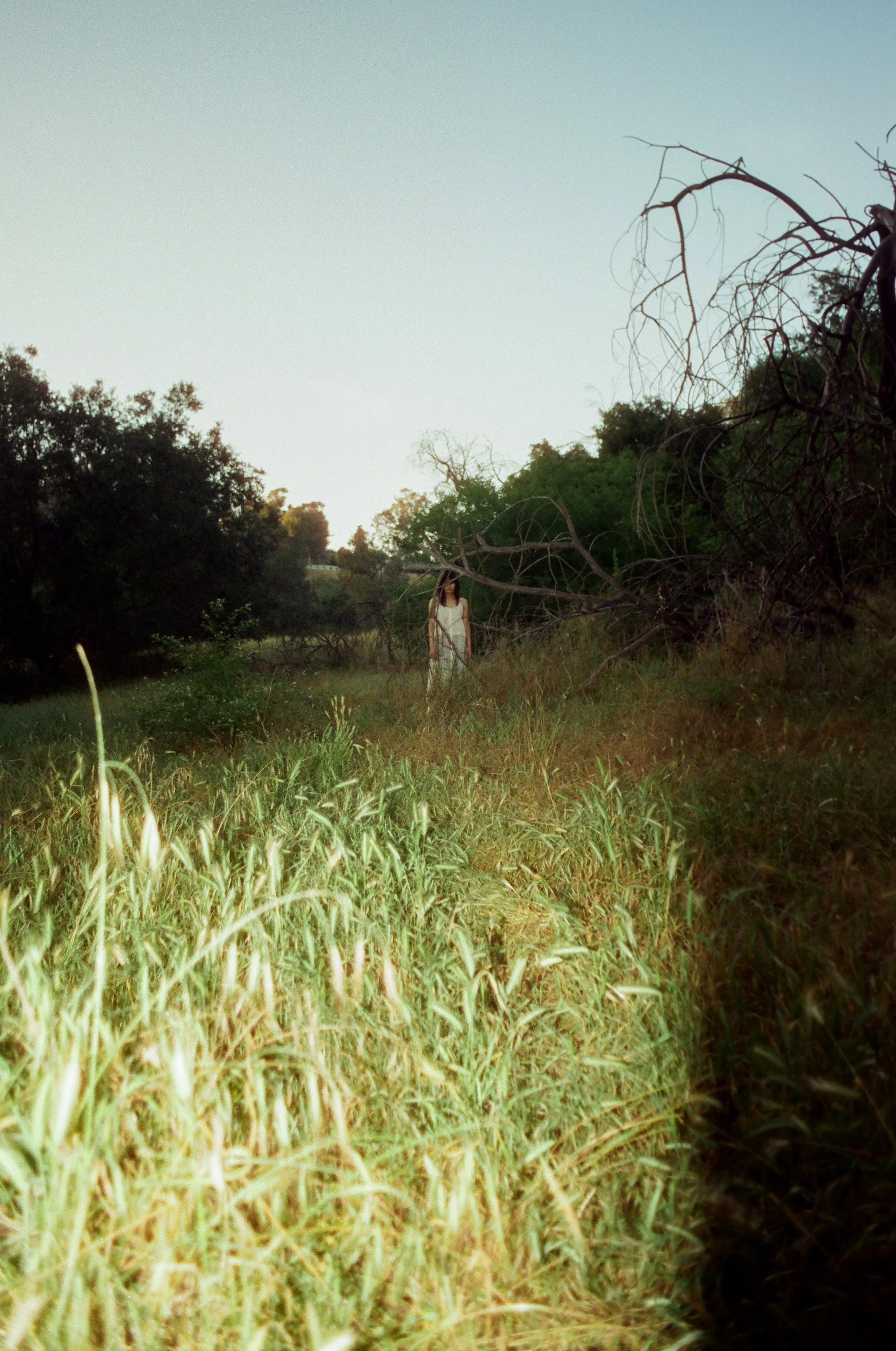  Nat - Los Angeles, CA - 35mm film 