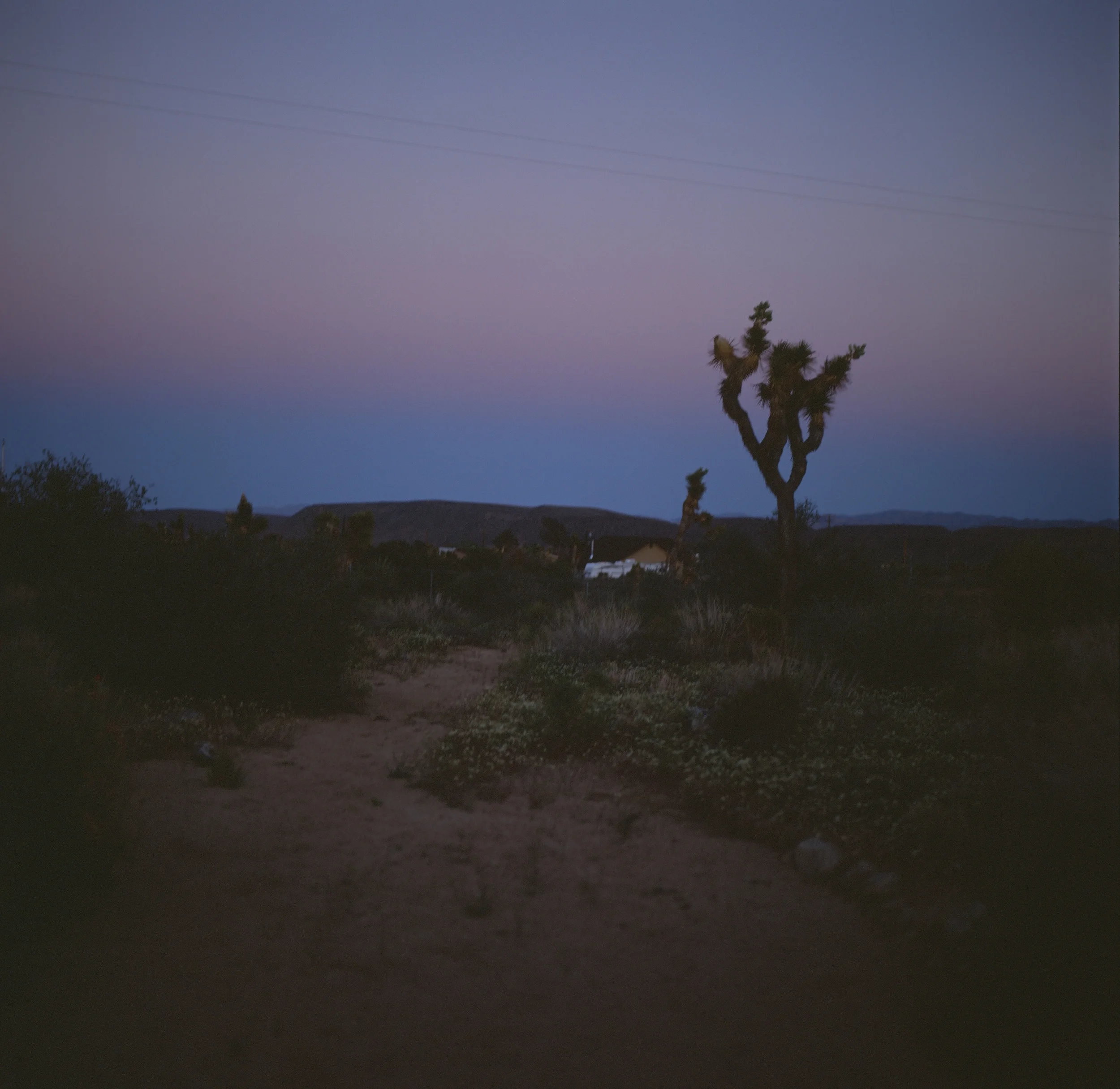 01040004.JPG