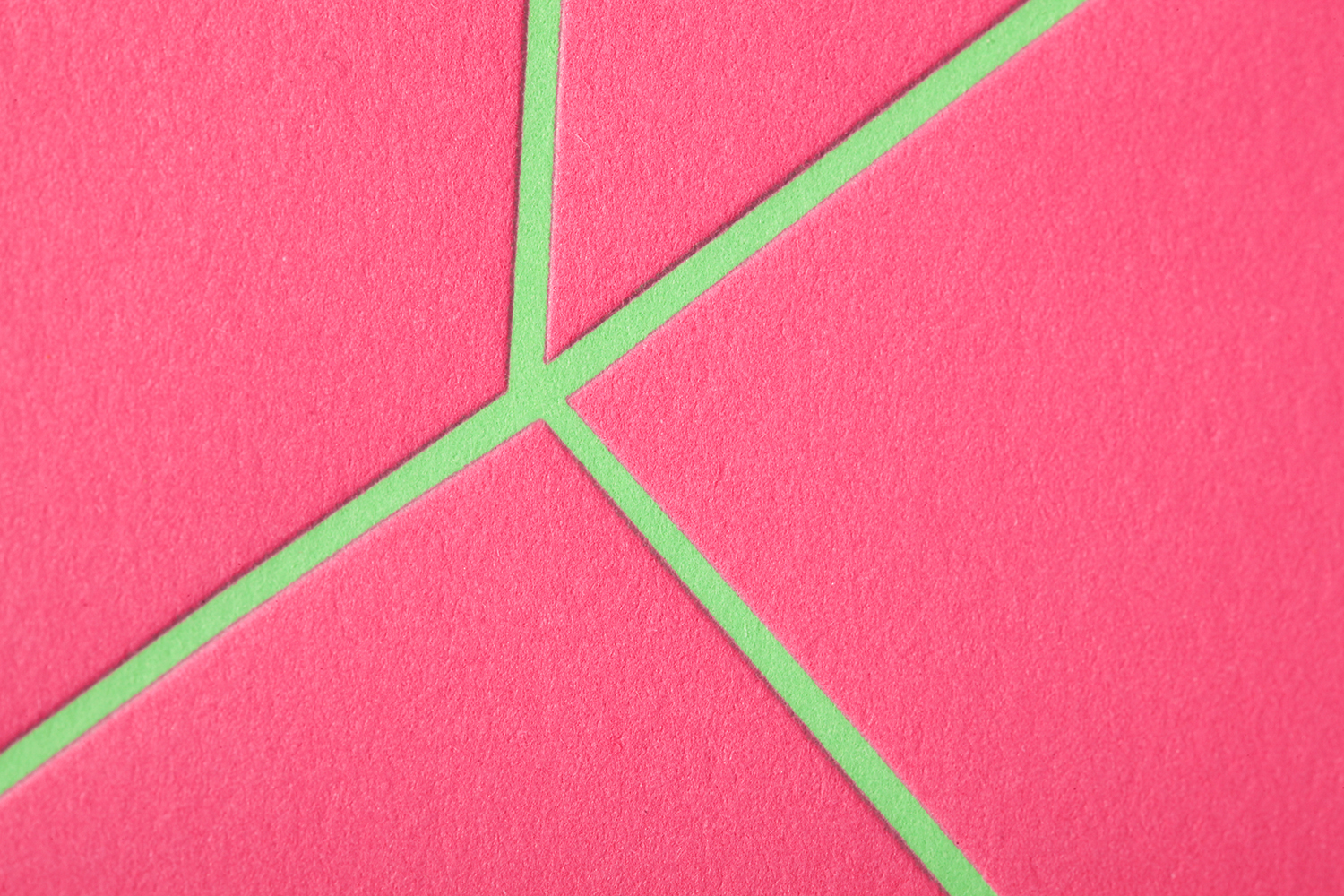 sharp pink detail.jpg