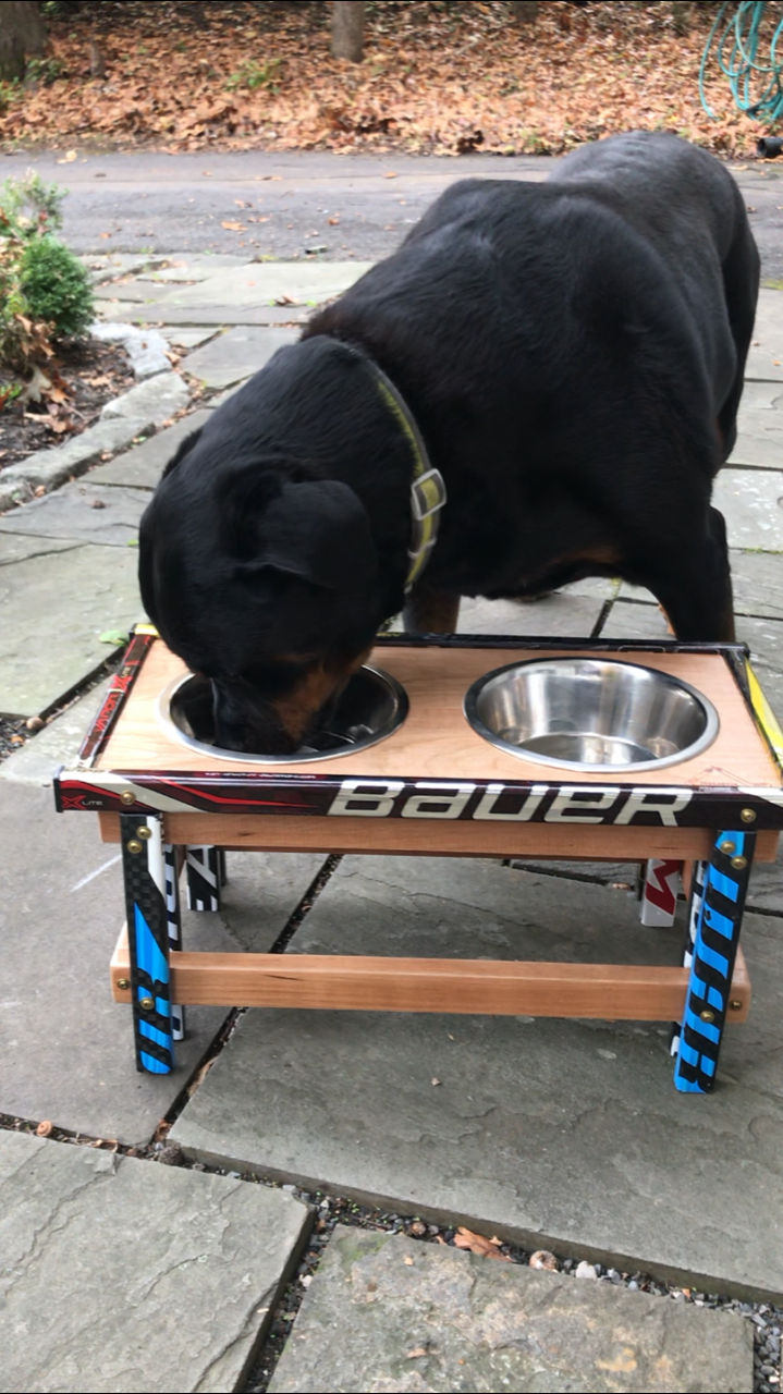 Top Shelf Feeder w Dog.png