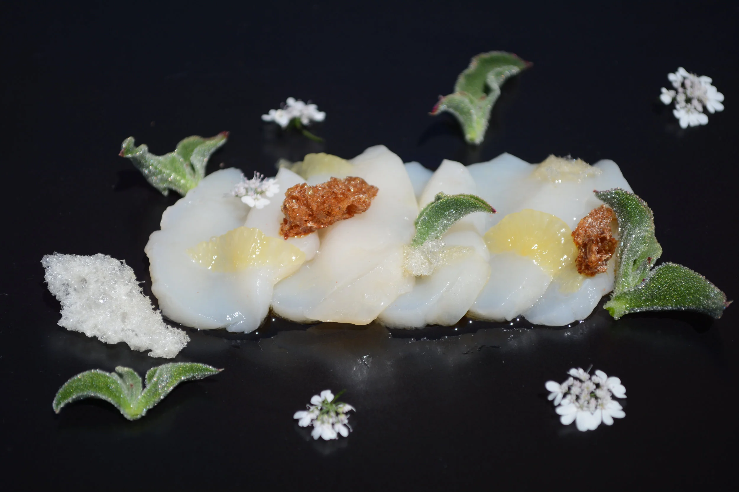 PURELY ARTISAN CRUDO OF SCALLOP W/ FRZ-DRY MANUKA HONEY CHUNKS
