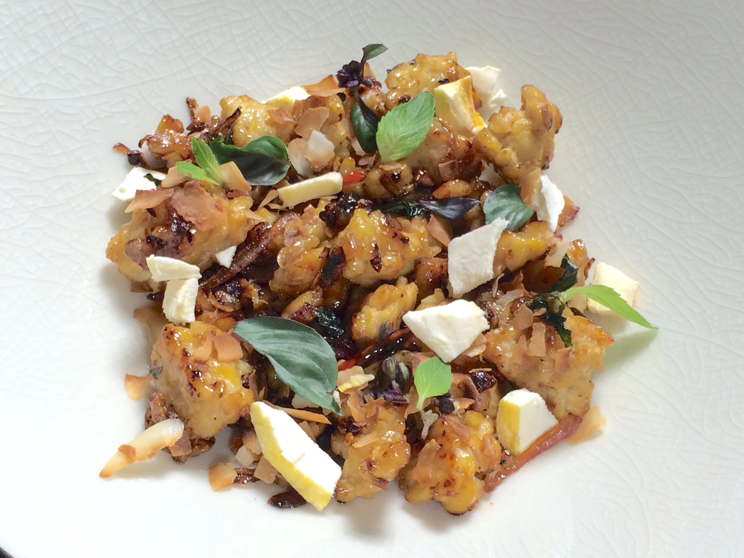 FRZ-DRY Broken MANGO TEMPEH