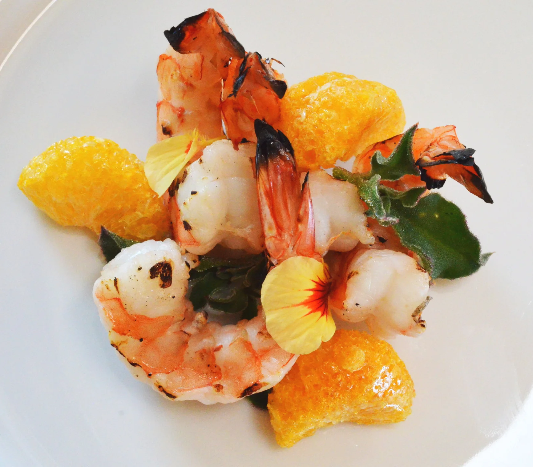 FRZ-DRY Mandarin Segments