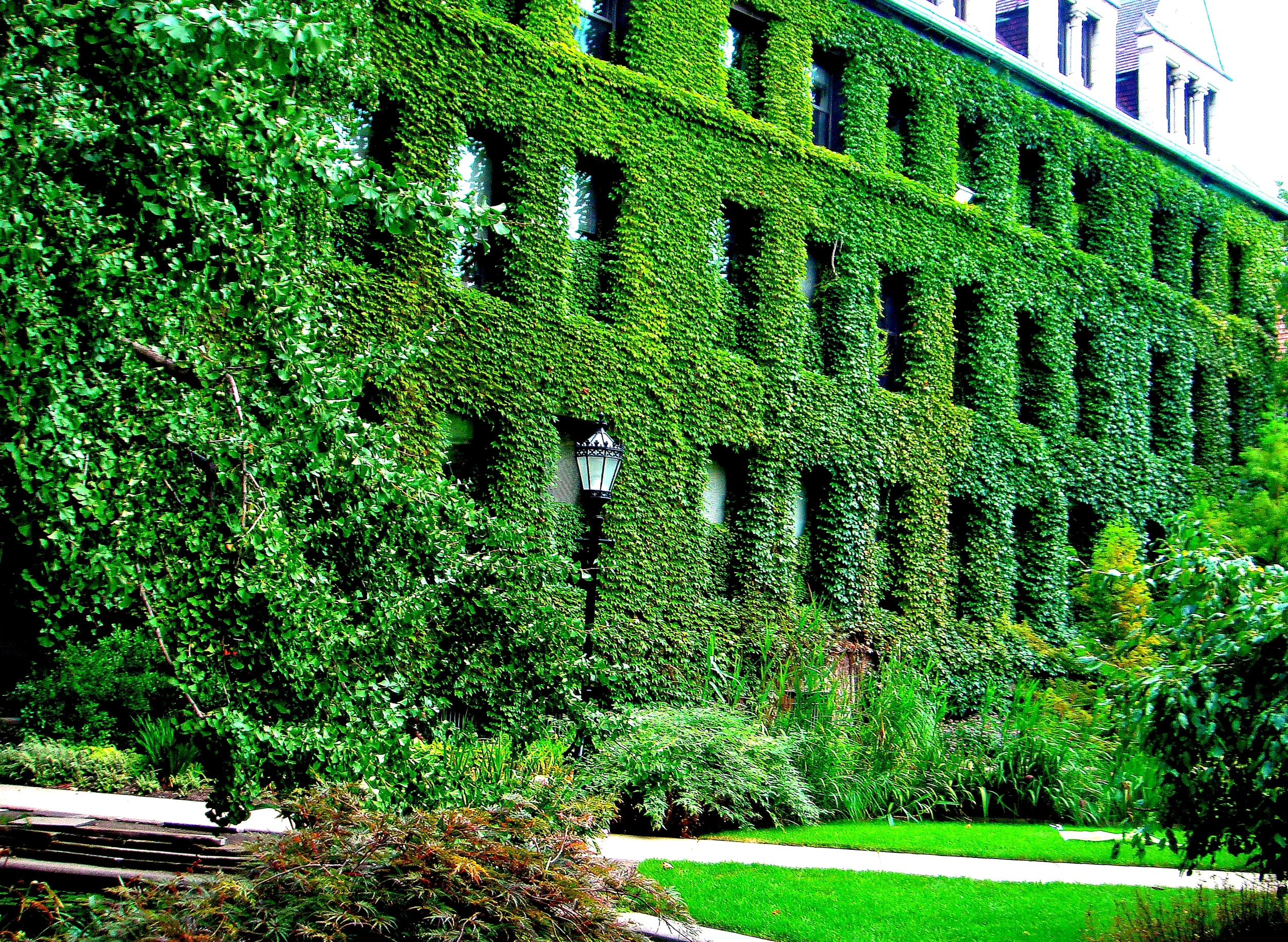 UChicago.JPG