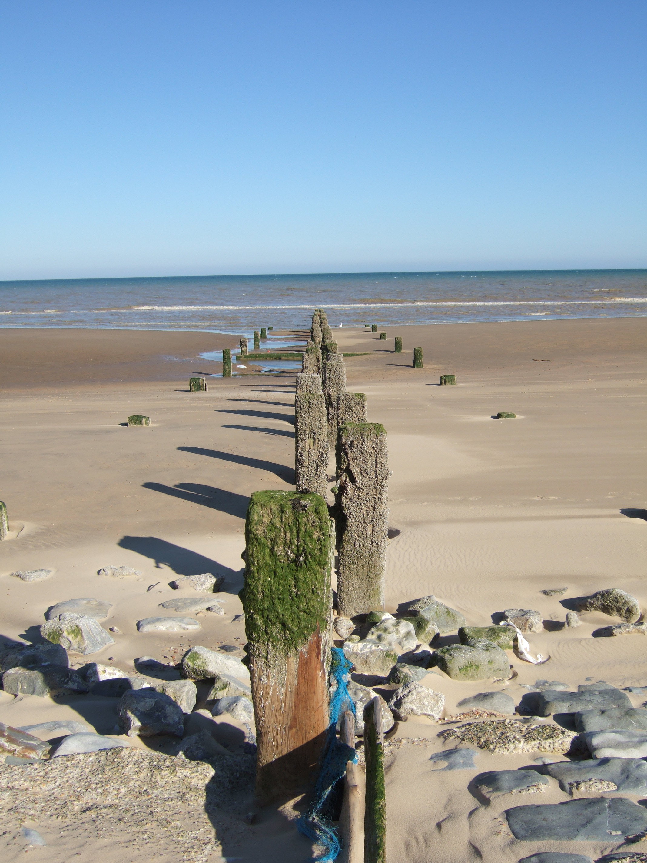 LETS GO TO THE BEACH - CLICK TO ENTER