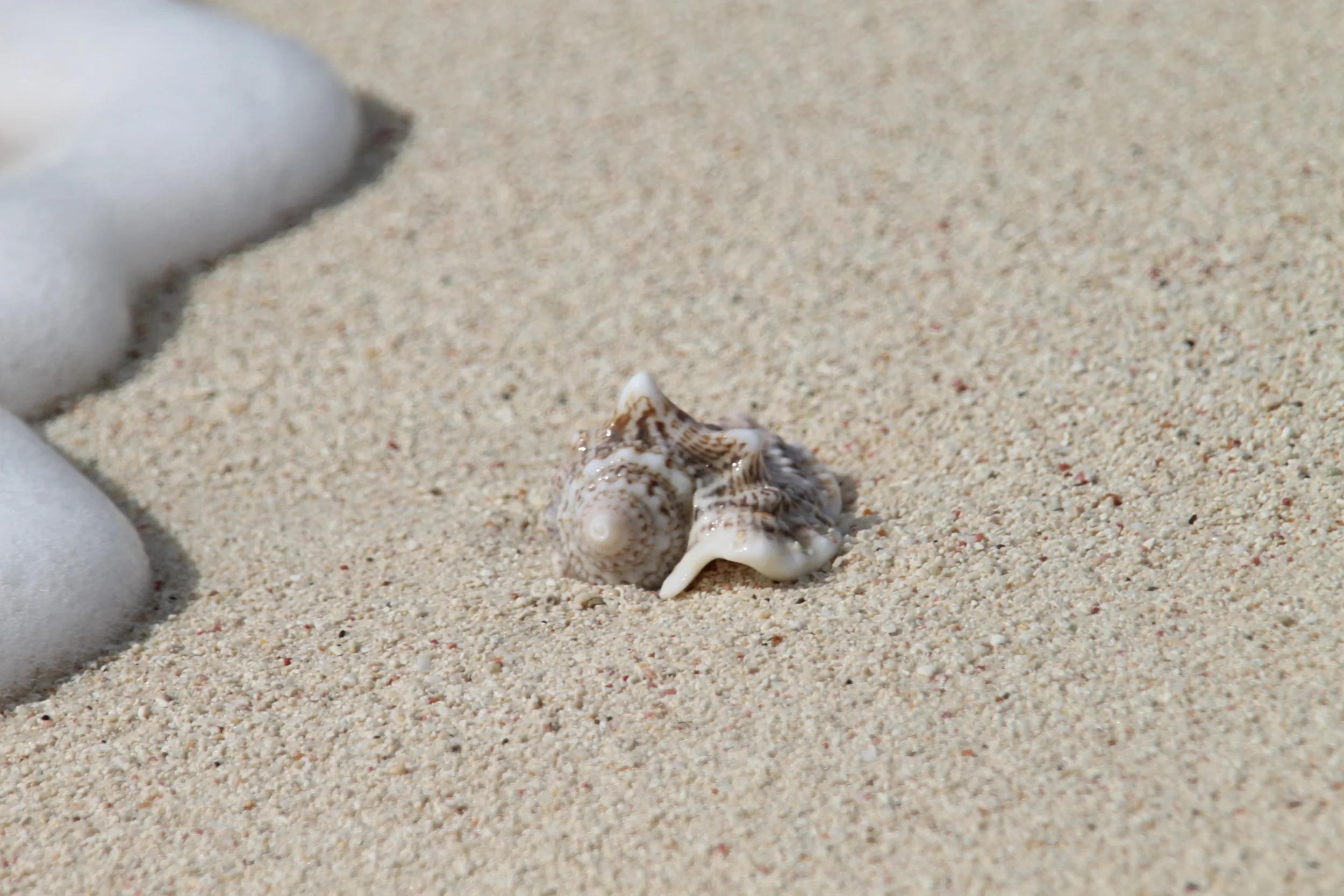 DEEP CARIBBEAN BLUE AND BEYOND - CLICK TO ENTER