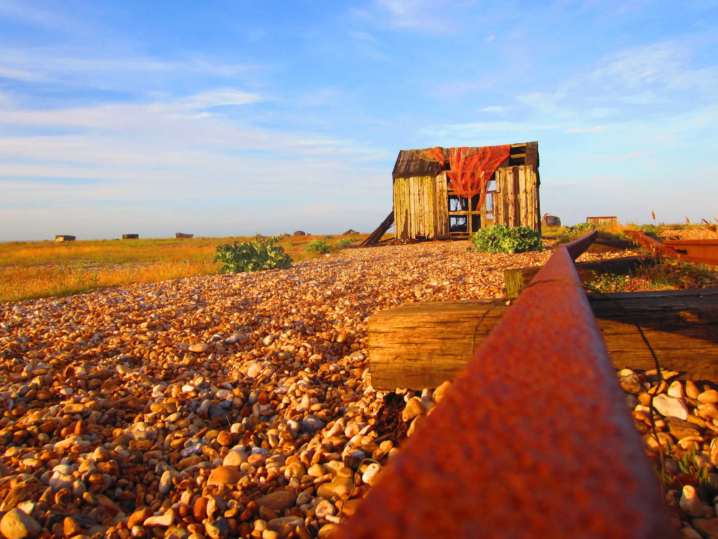 25) DUNGENESS