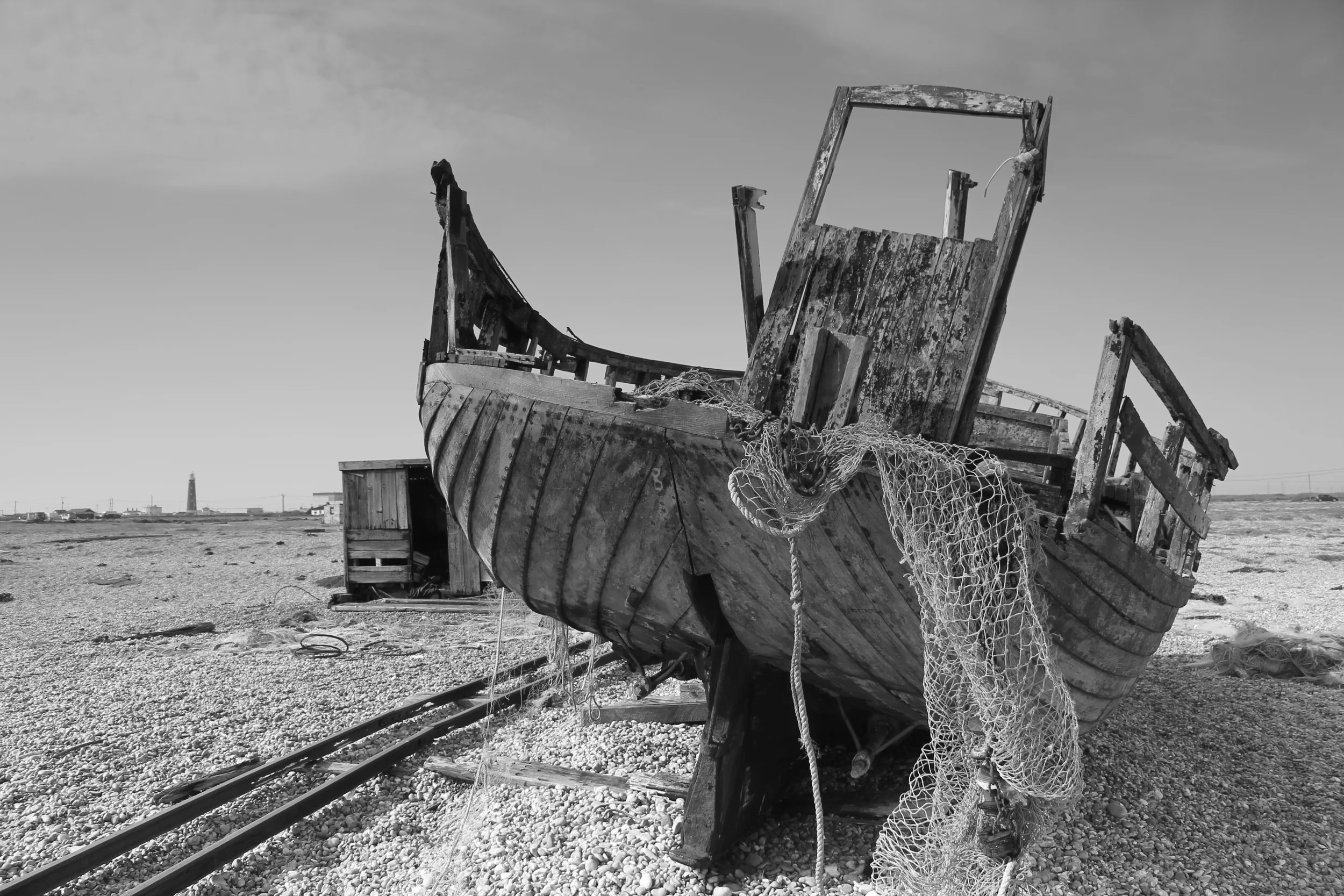 9) DUNGENESS