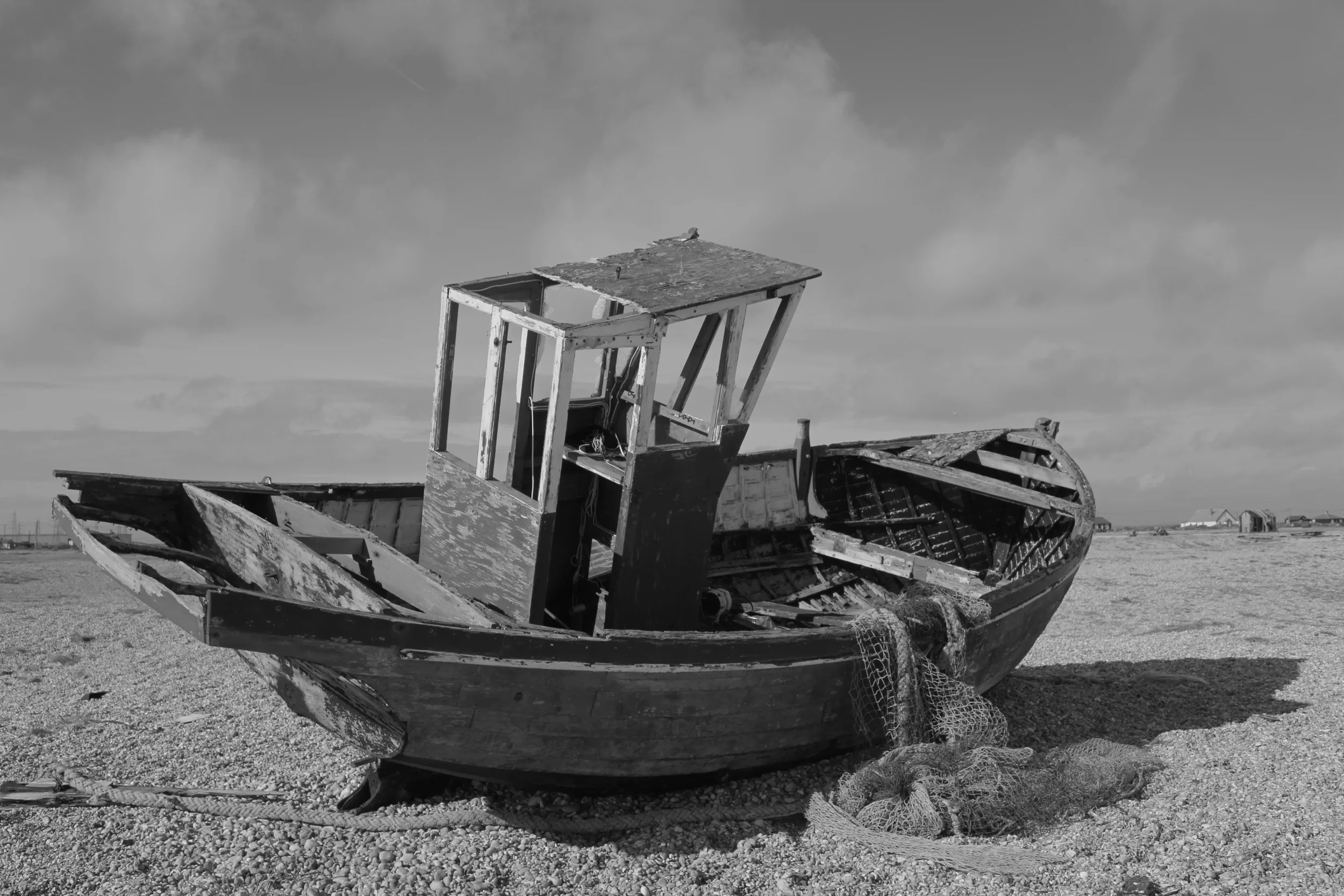 11) DUNGENESS