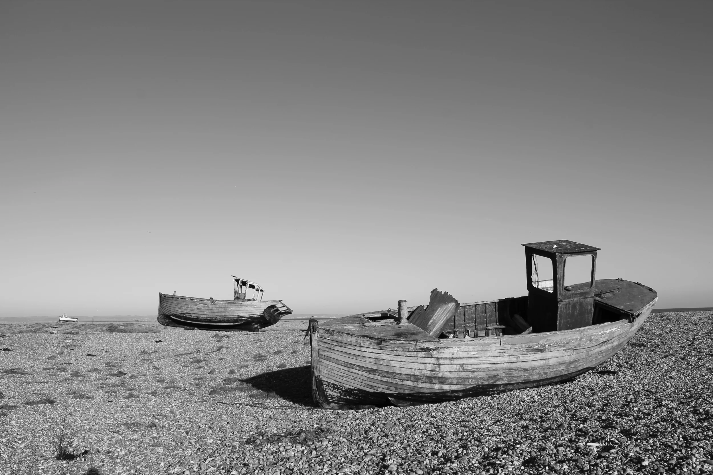 12) DUNGENESS