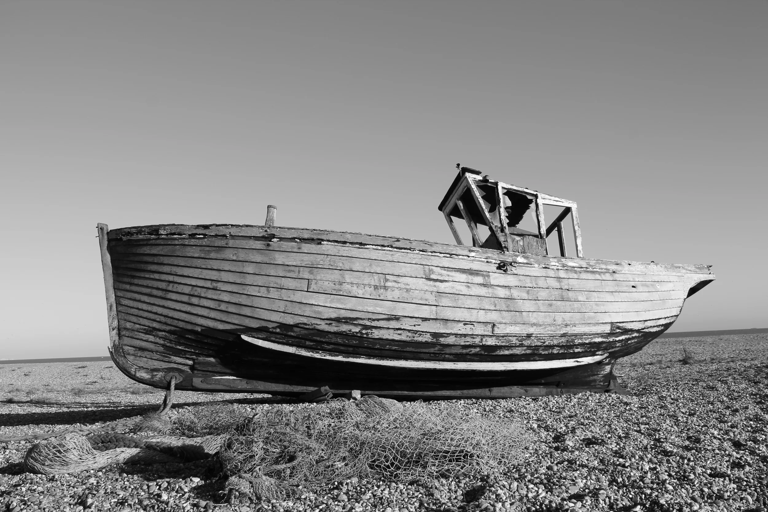13) DUNGENESS